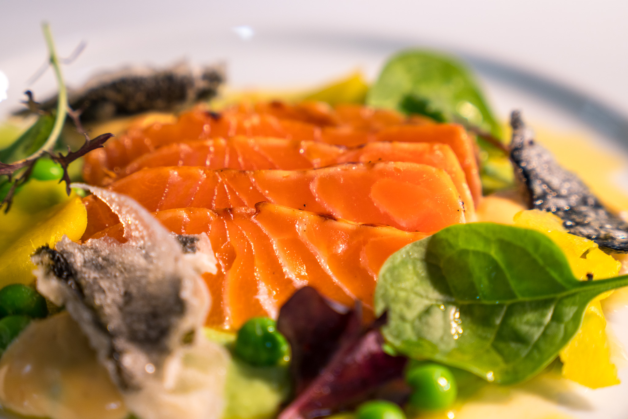 Geflämmter Faröer-Lachs